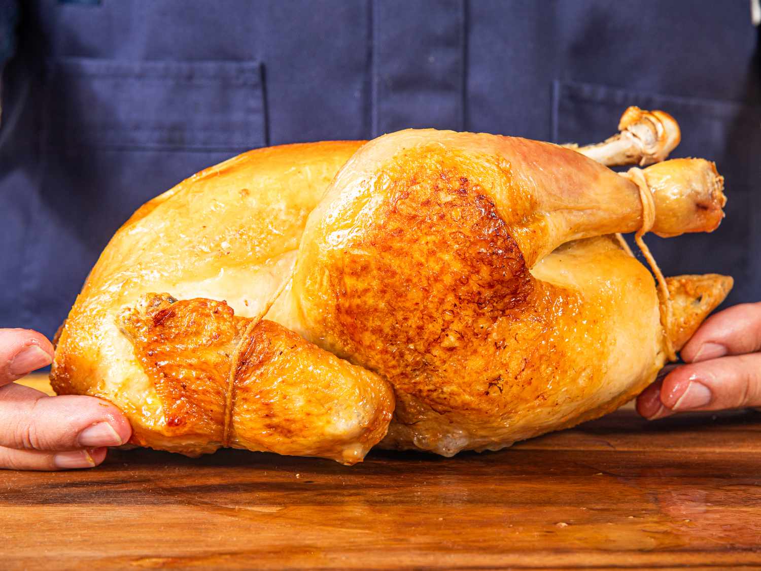 Best Black and Polish Chickens for Blue Eggs and Easy Care