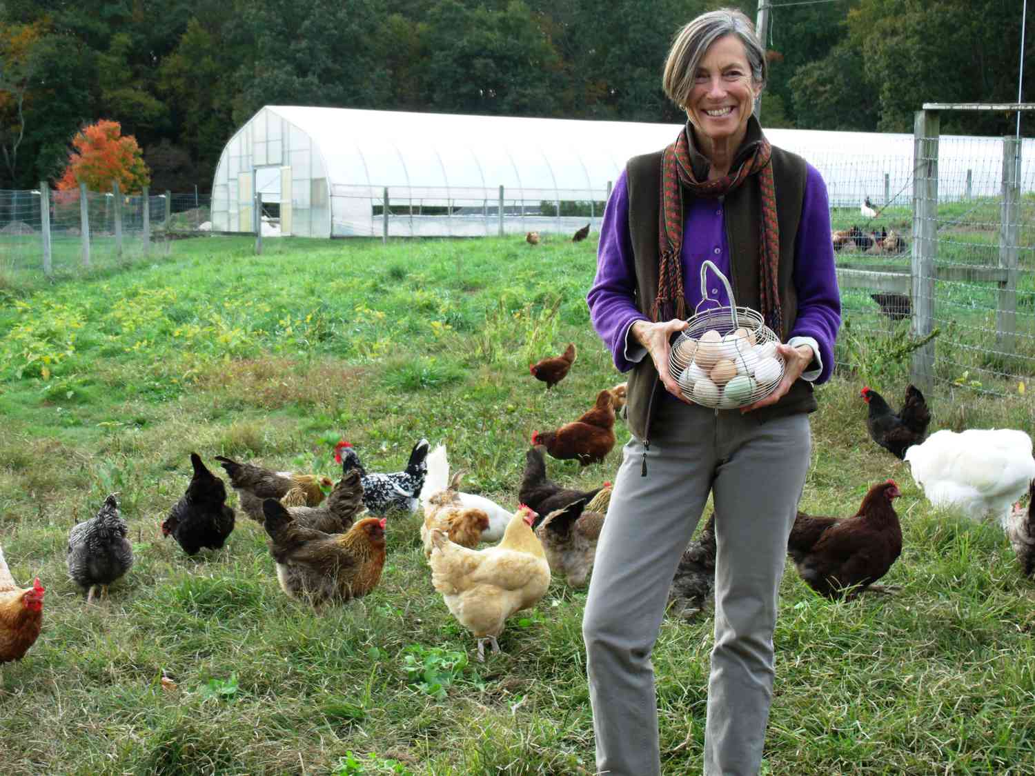 The to Raising Chickens
