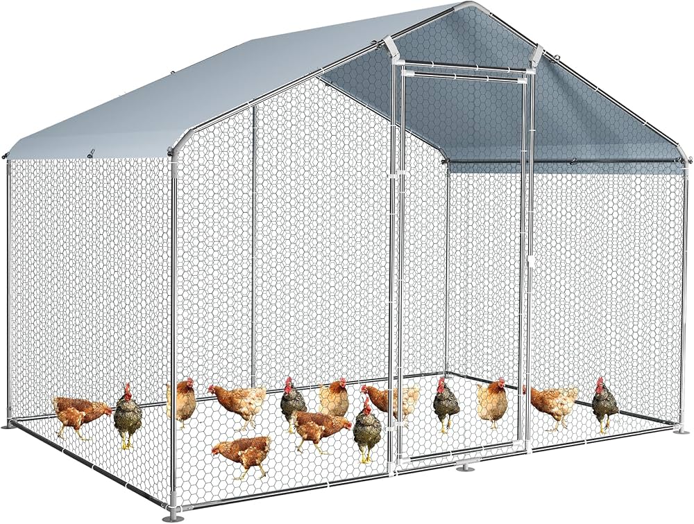 Expert Chicken upgrade