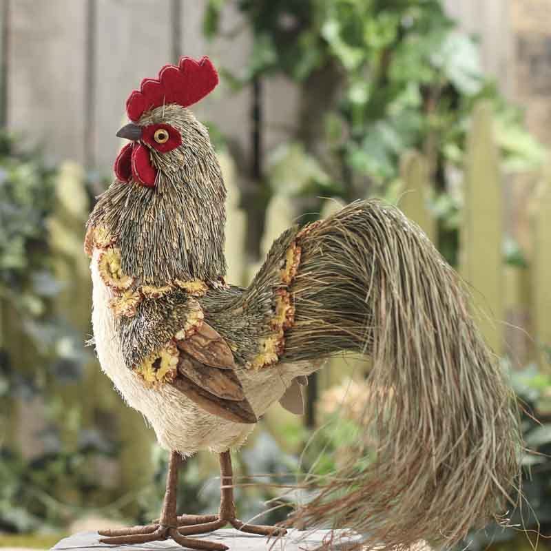 fancy chickens upgrade