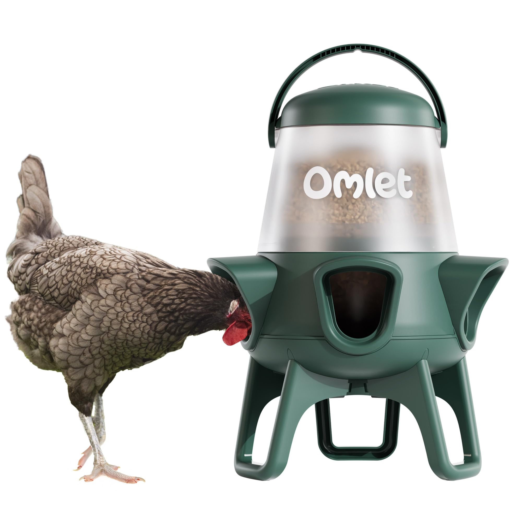 Naked Neck Chicken Feeder