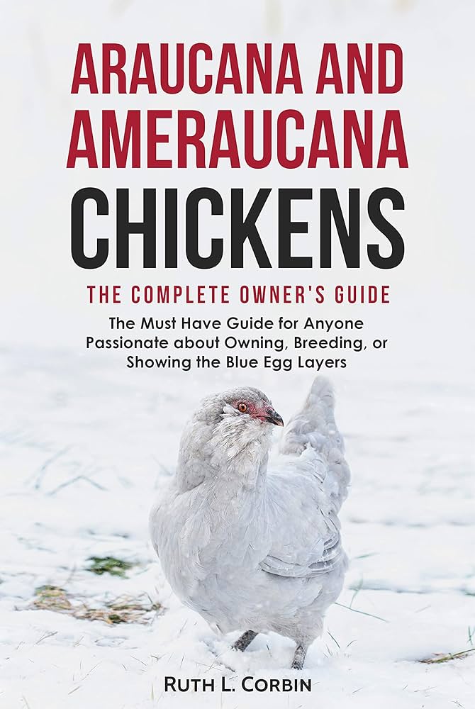 Araucana Chickens