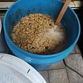whole grains for chicken feed