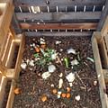 compost bin backyard
