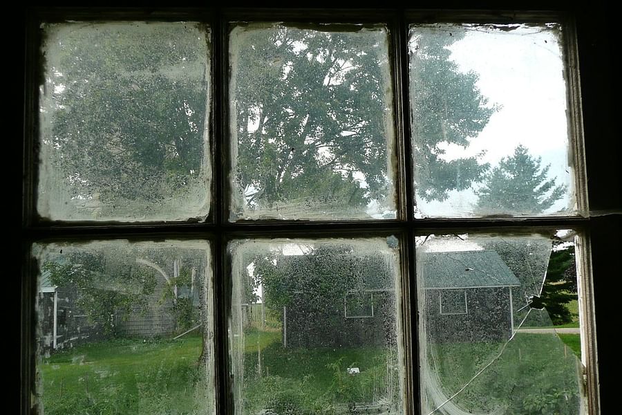 chicken coop with old windows