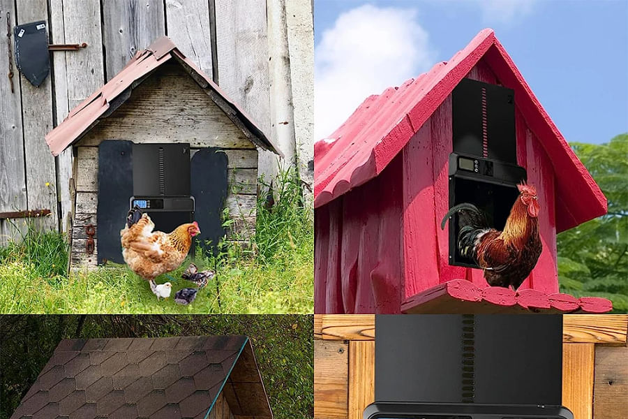cob chicken coop