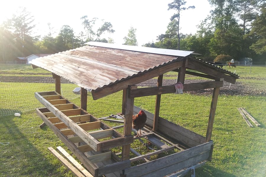 repurposed cabinet chicken coop