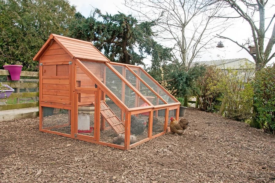 scrap metal chicken coop
