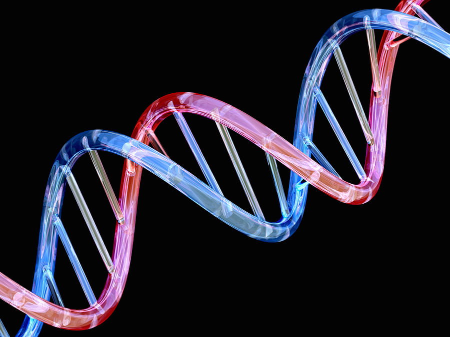 DNA double helix structure symbolizing the genetic link between chickens and Tyrannosaurus Rex