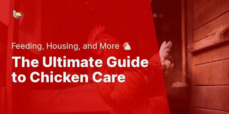 The Ultimate Guide to Chicken Care - Feeding, Housing, and More 🐔