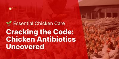 Cracking the Code: Chicken Antibiotics Uncovered - 🌱 Essential Chicken Care