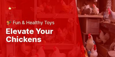 Elevate Your Chickens - 🐓 Fun & Healthy Toys