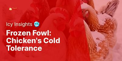 Frozen Fowl: Chicken's Cold Tolerance - Icy Insights 🥶