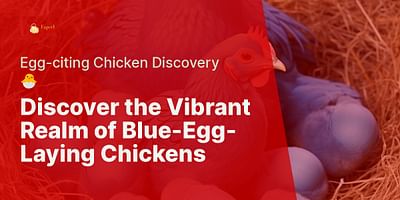 Discover the Vibrant Realm of Blue-Egg-Laying Chickens - Egg-citing Chicken Discovery 🐣