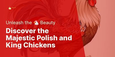 Discover the Majestic Polish and King Chickens - Unleash the 🐔 Beauty