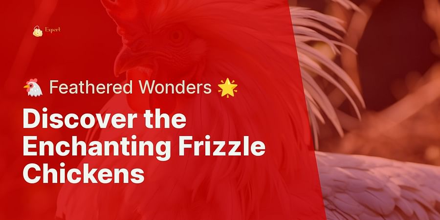 Discover the Enchanting Frizzle Chickens - 🐔 Feathered Wonders 🌟
