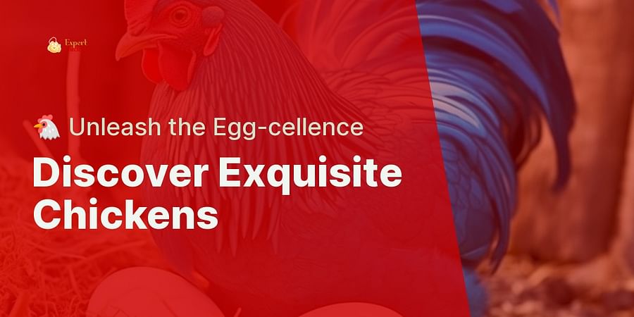 Discover Exquisite Chickens - 🐔 Unleash the Egg-cellence