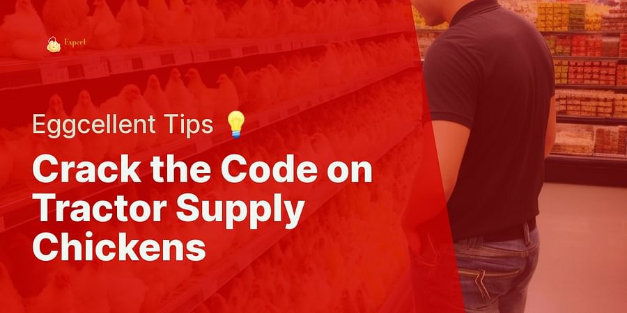 Crack the Code on Tractor Supply Chickens - Eggcellent Tips 💡