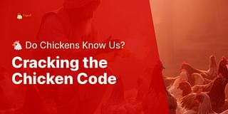 Cracking the Chicken Code - 🐔 Do Chickens Know Us?