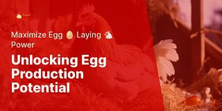 Unlocking Egg Production Potential - Maximize Egg 🥚 Laying 🐔 Power