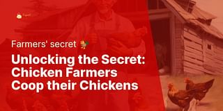 Unlocking the Secret: Chicken Farmers Coop their Chickens - Farmers' secret 🐓