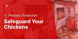 Safeguard Your Chickens - 🐓 Predator Protection