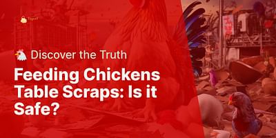 Feeding Chickens Table Scraps: Is it Safe? - 🐔 Discover the Truth