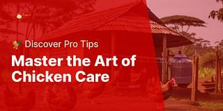 Master the Art of Chicken Care - 🐓 Discover Pro Tips