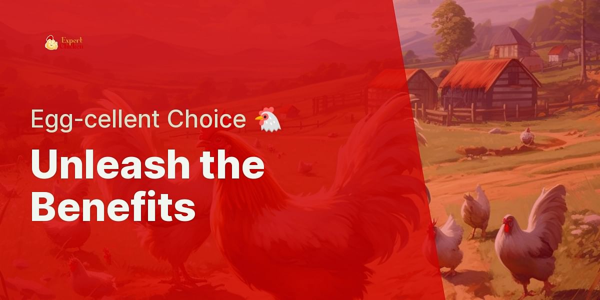 What are the advantages of freerange chicken farming?