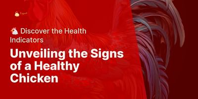 Unveiling the Signs of a Healthy Chicken - 🐔 Discover the Health Indicators