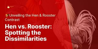 Hen vs. Rooster: Spotting the Dissimilarities - 🐓Unveiling the Hen & Rooster Contrast