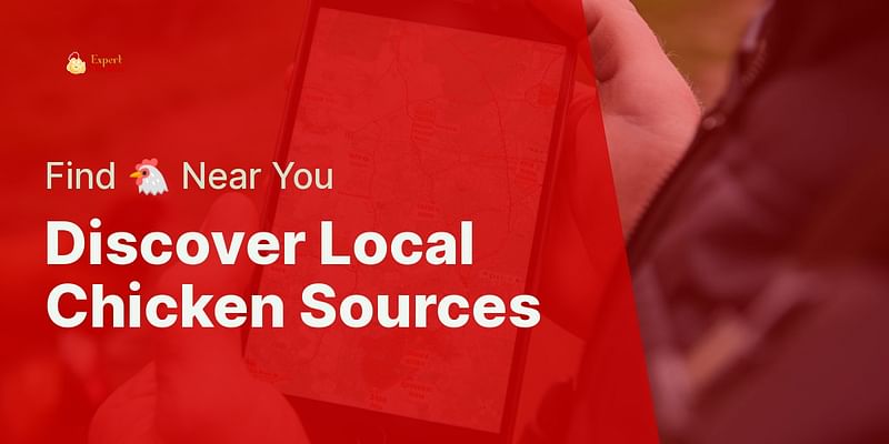 Discover Local Chicken Sources - Find 🐔 Near You