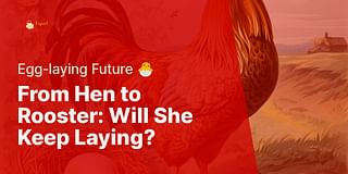 From Hen to Rooster: Will She Keep Laying? - Egg-laying Future 🐣
