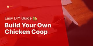 Build Your Own Chicken Coop - Easy DIY Guide 🏡