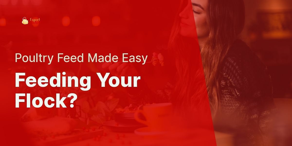 Chicken Feed Calculator Expert Chicken