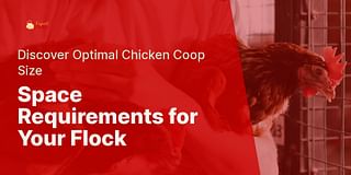 Space Requirements for Your Flock - Discover Optimal Chicken Coop Size