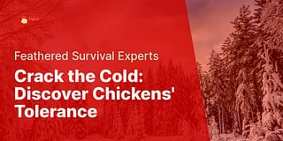 Crack the Cold: Discover Chickens' Tolerance - Feathered Survival Experts
