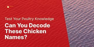 Can You Decode These Chicken Names? - Test Your Poultry Knowledge
