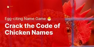 Crack the Code of Chicken Names - Egg-citing Name Game 🐣