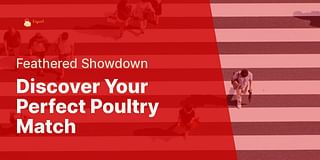 Discover Your Perfect Poultry Match - Feathered Showdown
