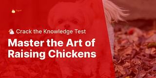 Master the Art of Raising Chickens - 🐔 Crack the Knowledge Test