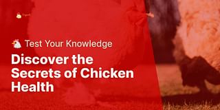 Discover the Secrets of Chicken Health - 🐔 Test Your Knowledge