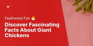 Discover Fascinating Facts About Giant Chickens - Feathered Fun 🐣