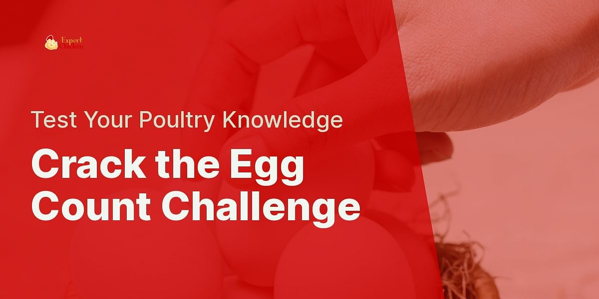 The Egg Count Challenge Quiz Test Your Knowledge on Chicken Egg