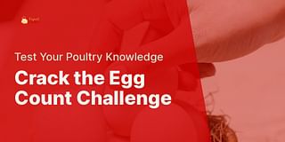 Crack the Egg Count Challenge - Test Your Poultry Knowledge