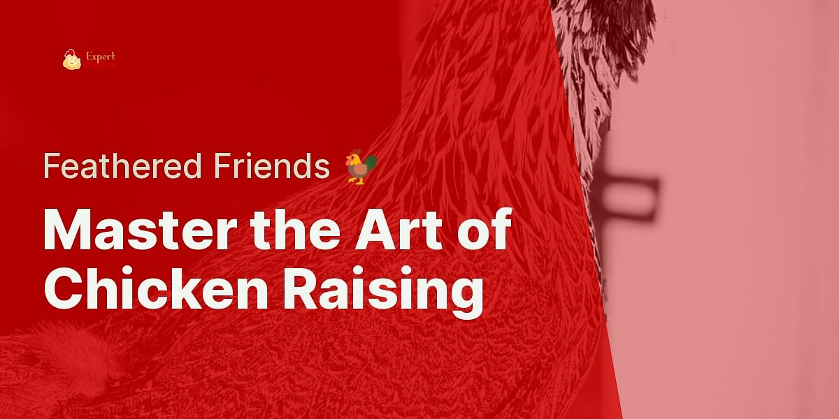 The Ultimate Guide to Raising Chickens at Home Expert Chicken
