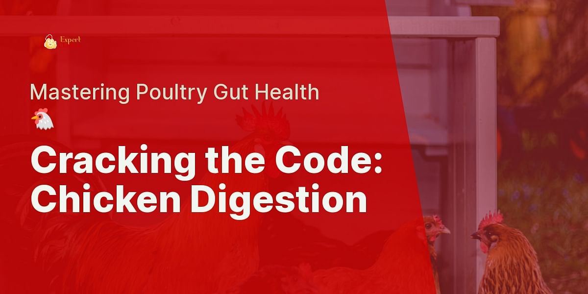 Understanding Digestive Issues in Chickens Test Your Knowledge