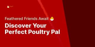 Discover Your Perfect Poultry Pal - Feathered Friends Await 🐣