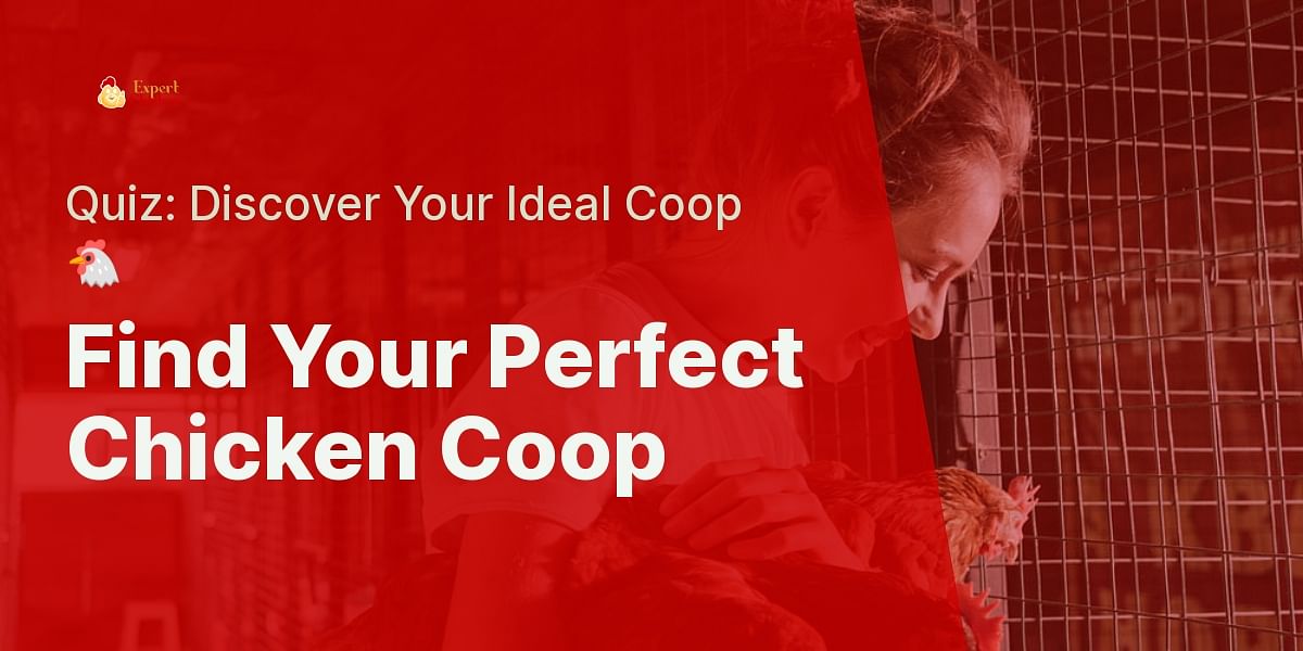 Which Chicken Coop is Right for You? Take the Quiz! Expert Chicken