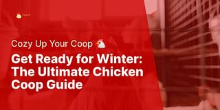 Get Ready for Winter: The Ultimate Chicken Coop Guide - Cozy Up Your Coop 🐔